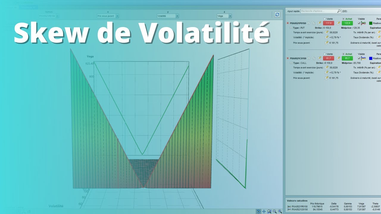 Skew de Volatilité sur Options