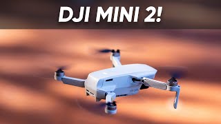 DJI Mini 2: The Cinematic Beginner Drone!