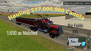 FS22 Big Fields XXL Hauling $17,000,000 Of Canola & Field Work
