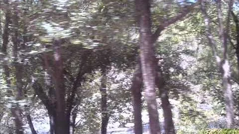 ALBERTO ARGUELLO  LA CHAMARRITA PERDIDA .wmv