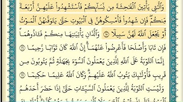 سورة النساء (صفحة ٨٠) من آية ١٥ إلى آية ١٩ | الشيخ إبراهيم الأخضر