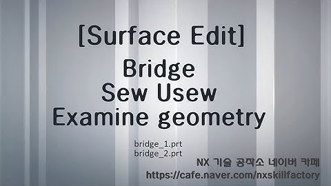 6-11 NX Bridge,Sew,Unsew,Examine geometry