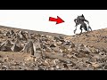 NASA Mars Perseverance Rover Released New 4k Video Footage of Mars on Sol 1097 | Mars 4k Video