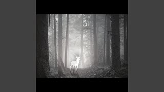 III. The White Stag