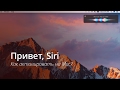 Как пользоваться "Привет, Siri" на Mac