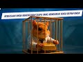 Umpan Hamster: Dari Meminjam ke Membangun - Rencana Uang yang Lebih Cerdas