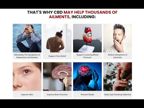 Best CBD Gummies UK 2025: Why Blessed CBD Tops the List