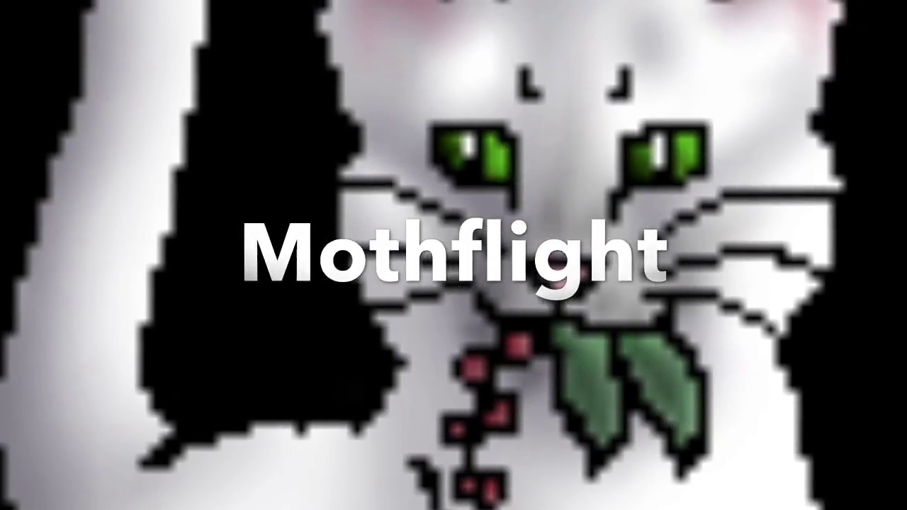 All Medicine Cats Of WindClan Warrior Cats YouTube