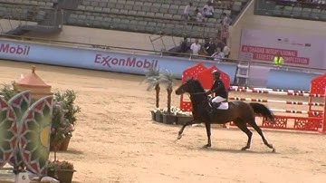 Unlimited CSI3* Al Shaqab