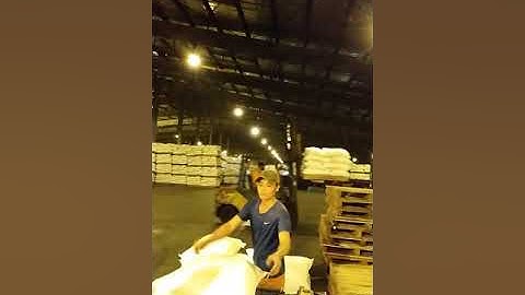 nghề bốc xếp nhìu nhọc nhằn và thiệt thòi