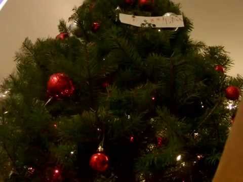 Wrapping You Up With a Bow - Binaural wrapping sounds for ASMR and Relaxation