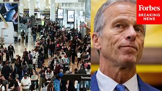 'The Situation Can't Continue': John Thune Calls On Dems To Negotiate On To Fund DHS