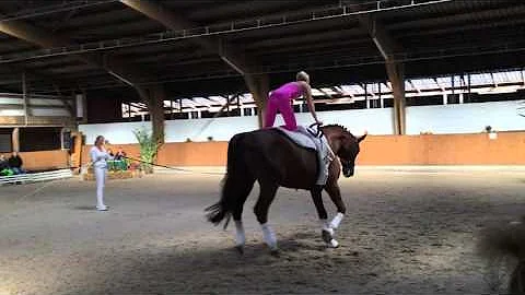 Michelle Wilke Kr Turnier Hven 2015