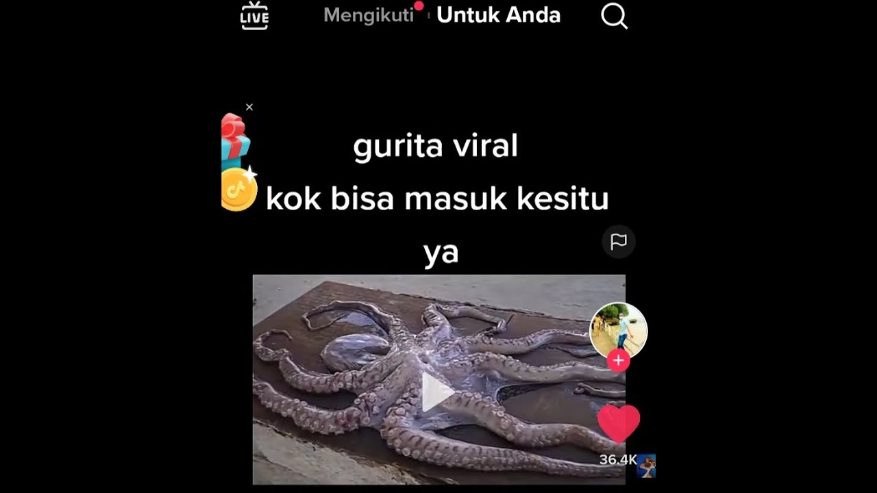 VIDEO VIRAL GURITA KOK BISA MASUKNYA - Viral tiktok - YouTube