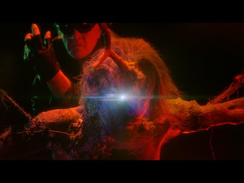 PAN LYNX - Kdo se bojí, musí do lesa