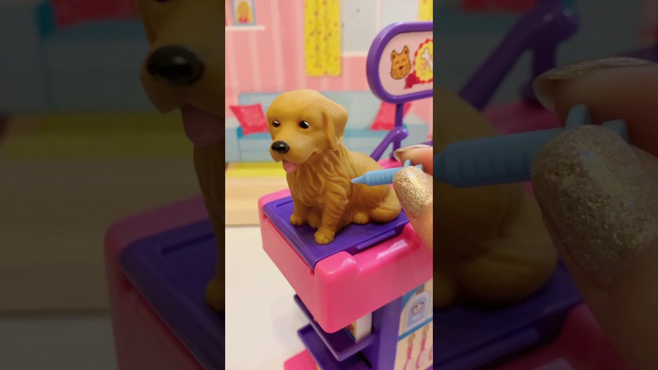 Pet Vet Clinic Play Set 