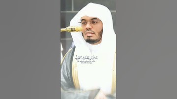 يُدْخِلُ مَن يَشَآءُ فِى رَحْمَتِهِ ~ تلاوة جميلة هادئة تشرح الصدر للشيخ ياسر الدوسري 😴🤍