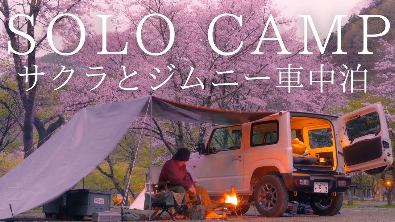 ソロキャンプ ジムニー車中泊と桜 カーサイドタープの下で焚火をしながら夜桜を眺める ジムニーキャンプ Youtube