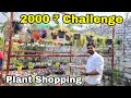 ₹2000/- Challenge plant Shopping & Nursery visit || The One Page