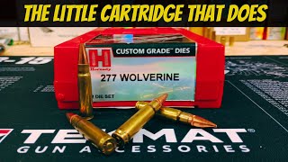 277 Wolverine -- The Little Cartridge That Does