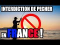 INTERDICTION de DETENTION de REPTILE en FRANCE - YouTube