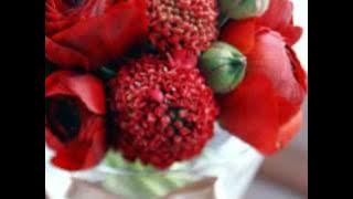 CRISTINA CLONA - Eu tin la tine