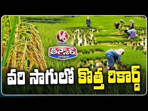 Telangana Farmers Set Record In Paddy Cultivation | V6 Teenmaar - V6NEWSTELUGU