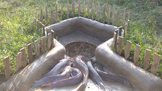 Amazing Best Easy Fish Trap For Catch Fish | Unique Fish Trap  System