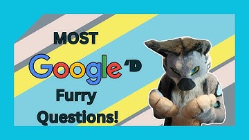 Googles most asked furry Questions!