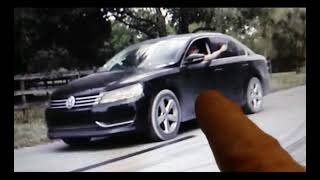 Terrorizing VW Black cockroach 2