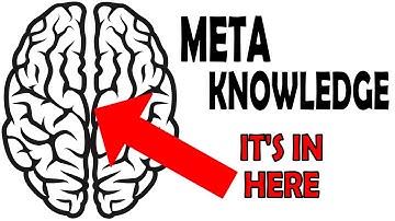 METAKOWLEDGE in the METAGAME