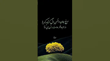 مولانا شعر مرغ جان هر نفسی بال گشاید که پرد شعر کوتاه عاشقانه شعر 