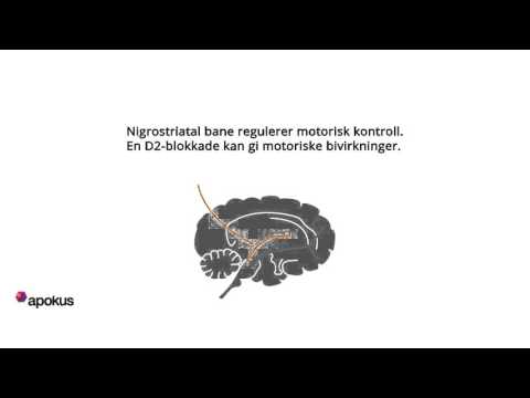 Video: Kunstige Synapser Etterligner Funksjonen Til Den Menneskelige Hjernen - Alternativ Visning