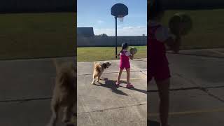 Little Girl Practices Basketball With Dog - 1424424