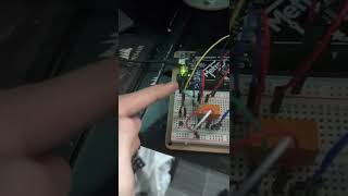CIRC11- C Attempt 12/4/22