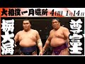 大相撲 栃大海(春日野部屋)-尊富士(伊勢ヶ濱部屋)<令和8年一月場所・4日目>SUMO