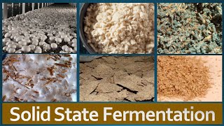 Solid State Fermentation: Overview, Factors affecting SSF, Advantages, Limitations and Applications