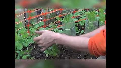 Trellis Net--Environmentally Friendly & Degradable