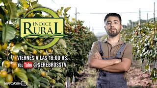 Indice Rural #33 - Temporada 17