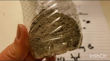 Setting up a Toolbelt