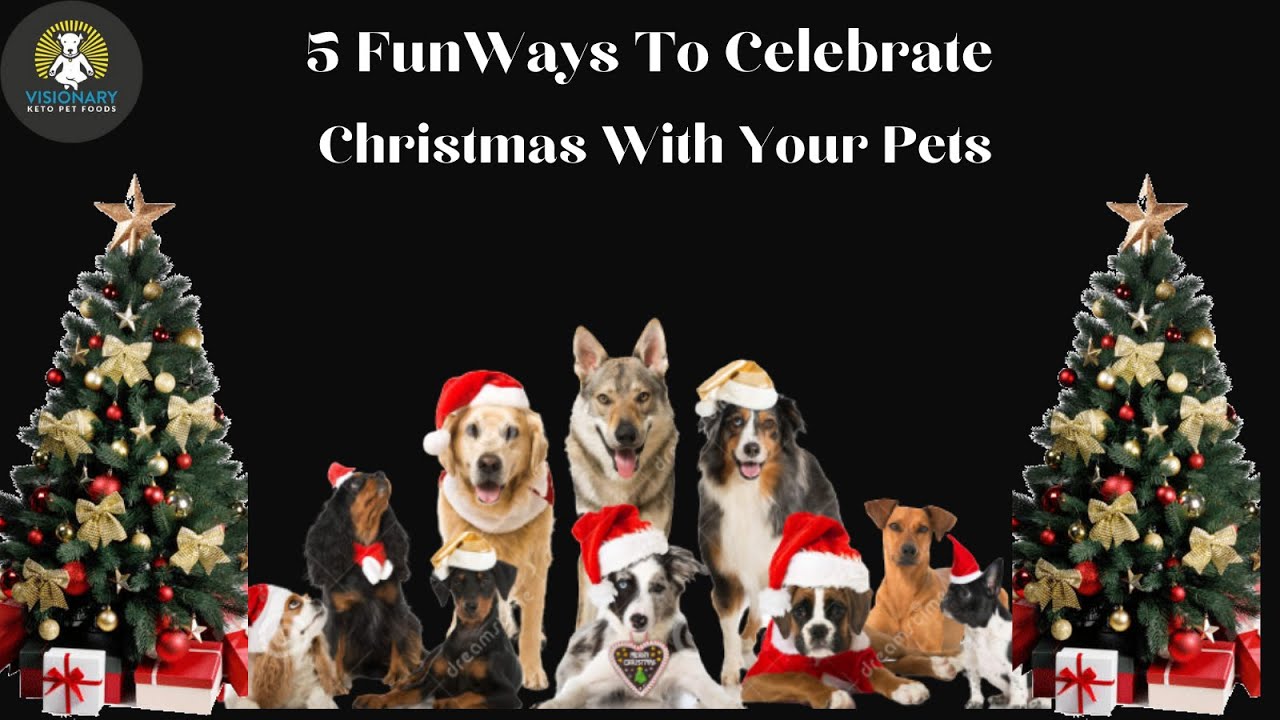 5 Fun Ways to Celebrate Christmas With Your Pets
