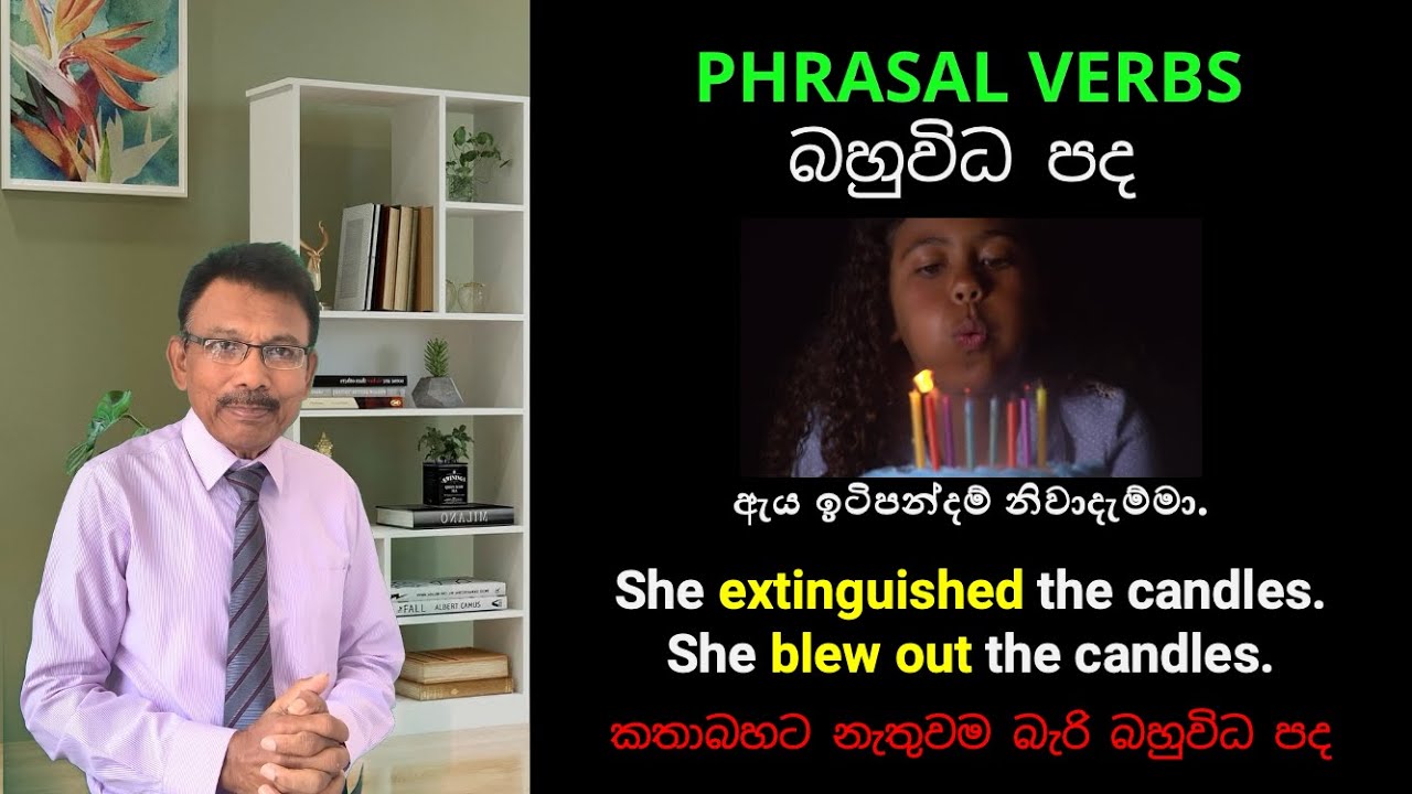 Phrasal Verbs in English | Speak Natural English with Simple Examples | කතාබහට බහුවිධ පද