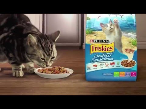 Friskies รสชาติอร่อยที่แมวชอบ