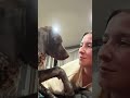 @aspen.thegsp 😂 #dog #dogvideos