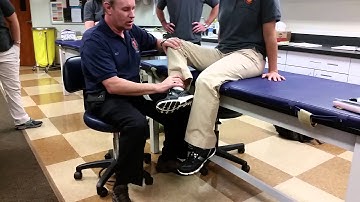 MMT: Sartorius - Hip Flexion, Abduction, and External Rotation with Knee Flexion