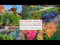 My Garden Secrets, How to Pinch, How to Get Bigger, Better Flower Containers & Gardens