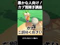 カブ価はパワーでなんとかする #ゲーム実況 #配信 #あつ森 #shorts