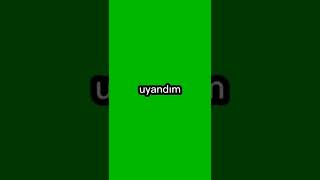 Sende Mi En Dibe Daldıngreen Screen Lycris