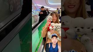 #🐕,cute Little Dog#Pets FunTime!Sweet#Puppy and Moments Full Of#Adorable pet#Lover and Cuteness