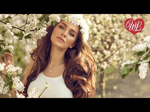 Белая Черемуха Русская Музыка Wlv New Songs And Russian Music Hits Russische Musik Hits